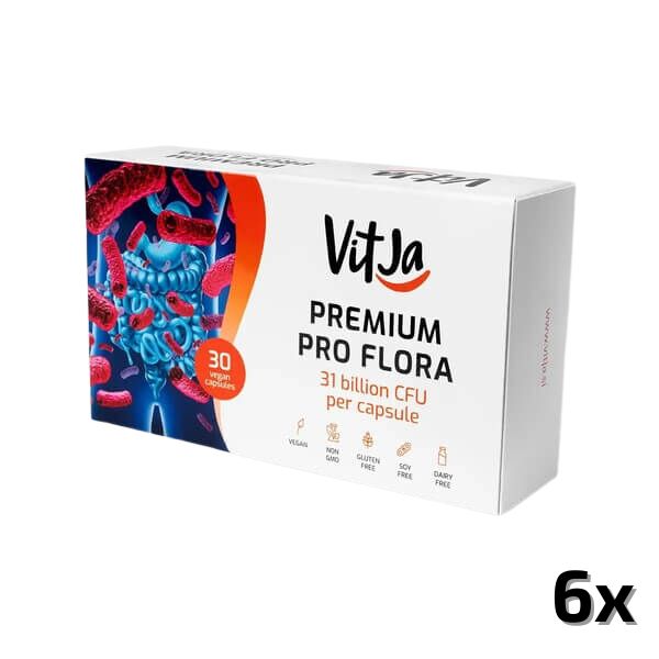 probiotik premium proflora 6x